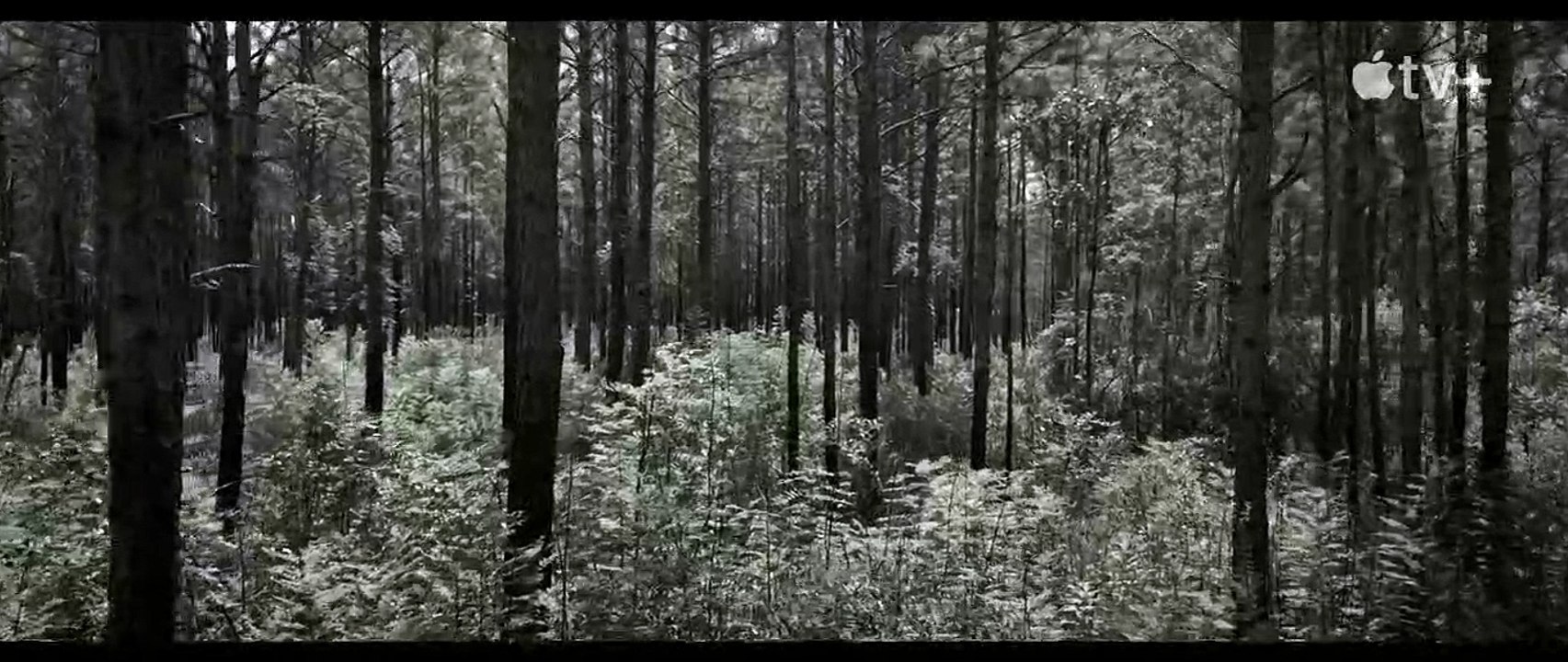 Emancipation Trailer OV