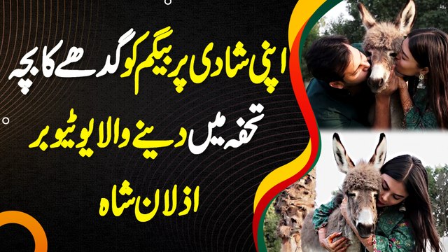 Wife Ko Shadi Par Gadhe Ka Bacha Gift Karne Wala Azlan Shah Youtuber