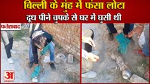 Lota Got Stuck In The Head Of A Cat In Fatehabad|Tohana में बिल्ली के मुंह में फंसा लोटा,Video Viral