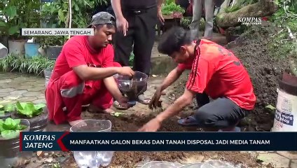 Manfaatkan Galon Bekas dan Tanah Disposal Jadi Media Tanam