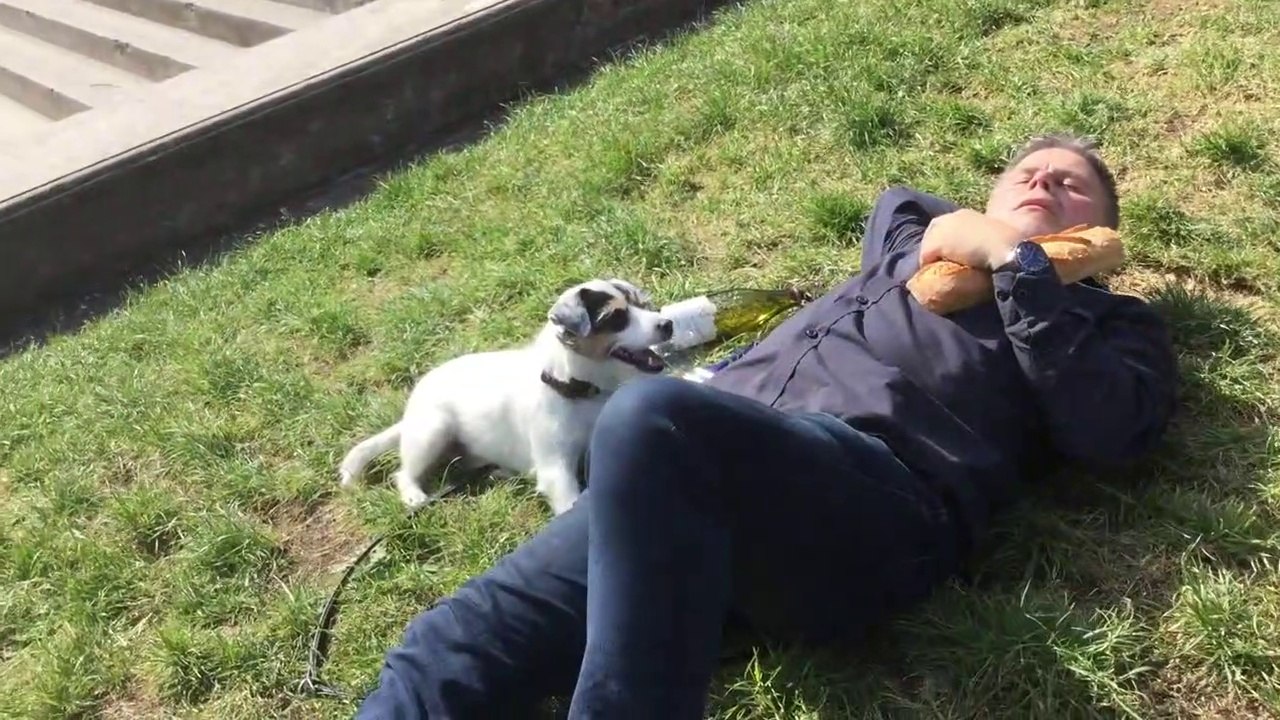 Teil 2 - Lotterleben in Paris: Eiffelturm-Rettung verschoben