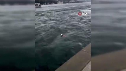 İstanbul Boğazı'ndaki akıntıya meydan okuyor