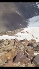 MSB paylaştı! Terörden temizlenen bölge "güzelliklere" kaldı