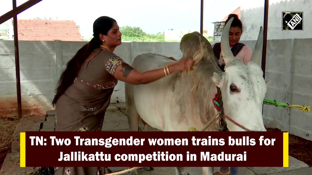 TN: Two transgender women train bulls for Jallikattu competition in Madurai