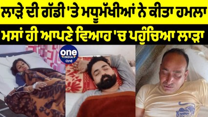 ਲਾੜੇ ਦੀ ਗੱਡੀ 'ਤੇ ਮਧੂਮੱਖੀਆਂ ਨੇ ਕੀਤਾ ਹਮਲਾ | OneIndia Punjabi