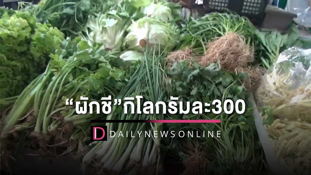 “ผักชี”กิโลกรัมละ 300 บาท เผยก่อนปีใหม่แพงอีก 2 เท่า | HOTSHOT เดลินิวส์ 12/12/65