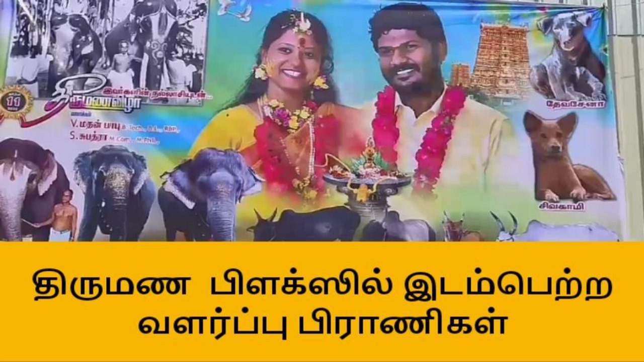 மதுரை:திருமண வரவேற்பு பிளக்ஸில் வளர்ப்பு பிராணிகள்!