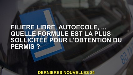 Secteur gratuit, école de conduite, ... quelle formule est la plus demandée pour obtenir le permis?