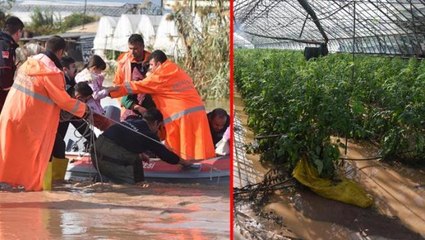 Selin vurduğu Kumluca'da sera ve ekili alanlar sular altında! Ürünler ziyan oldu, çevredeki vatandaşlar mahsur kaldı