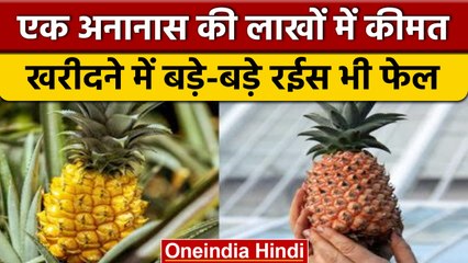 Worlds Most Expensive Pineapple: बड़े-बड़े रईस नहीं खरीद पाते ये Pineapple | वनइंडिया हिंदी |*News