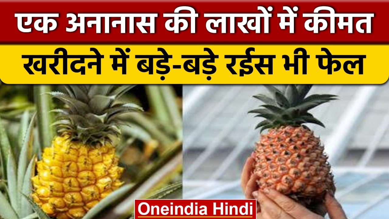 Worlds Most Expensive Pineapple: बड़े-बड़े रईस...