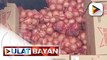 Smuggled white onions, hindi na ibebenta sa Kadiwa Stores matapos hindi pumasa sa phytosanitary test