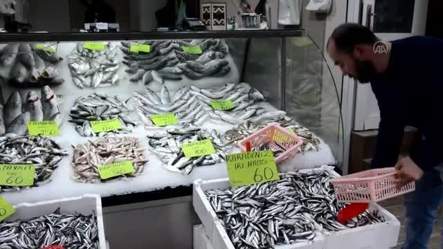 Batı Karadeniz'de balıkçılar hamside umduğunu bulamadı