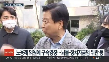 '뇌물·불법자금' 노웅래 구속영장…"범죄자 낙인" 반발