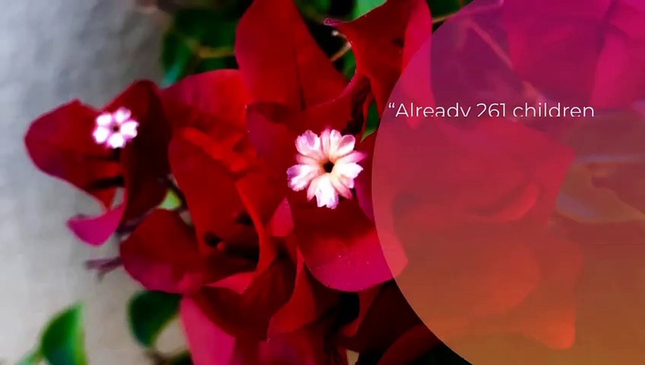6th June 2022 l Morning l The World News Flash l Current News l Breaking news