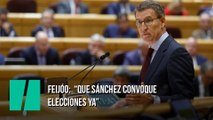 Feijóo:  “Que Sánchez convoque elecciones ya”