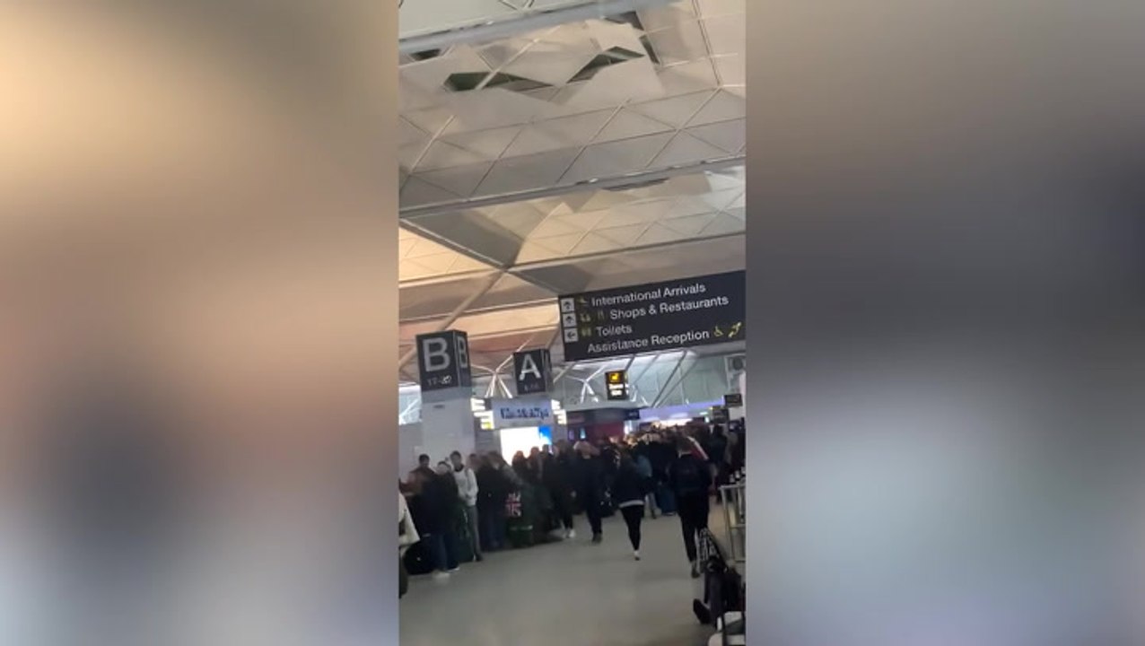 Stranded passengers at Stansted airport form metres-long queue to help desk