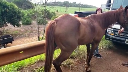 Caminhão tomba em cima de veículo na BR-369 e motorista fica em estado gravíssimo