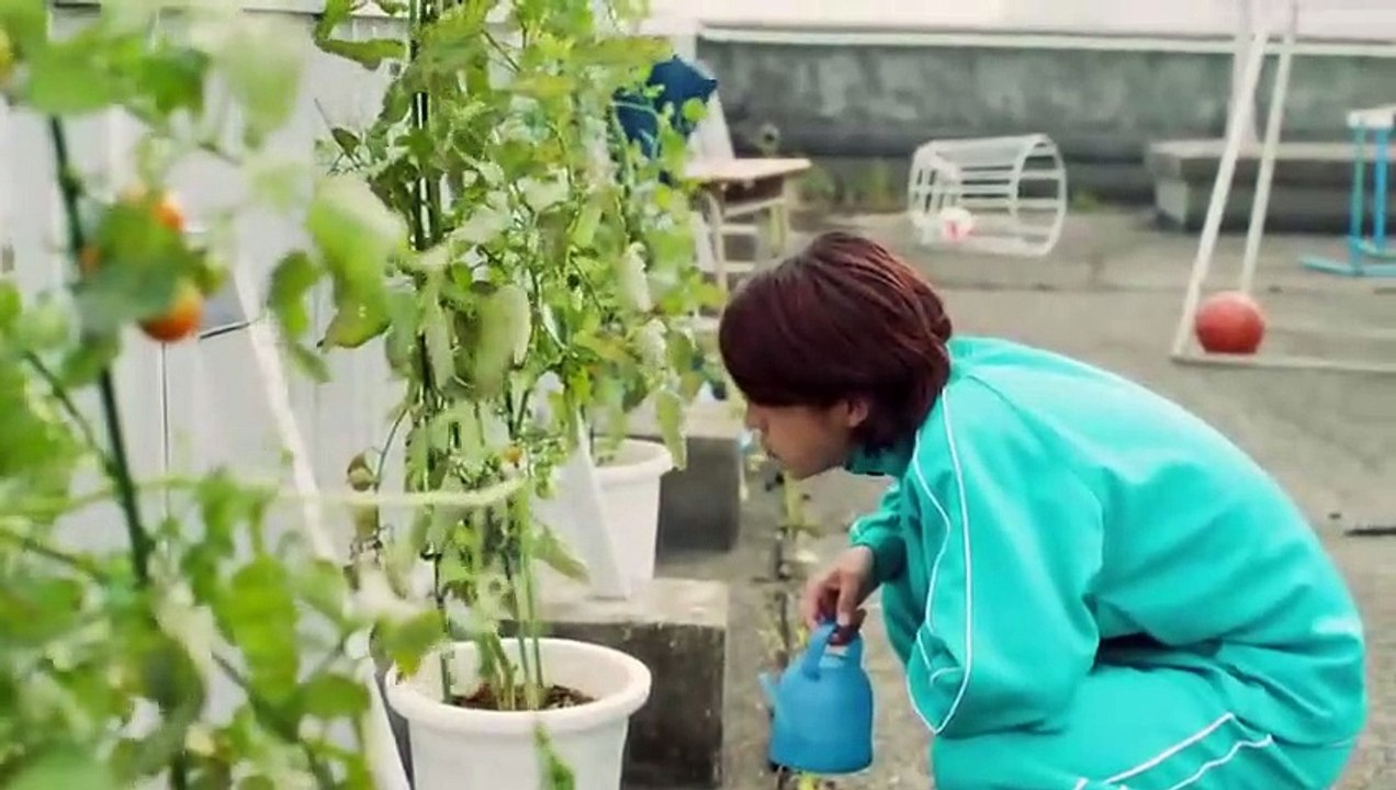 Kimi no Koto Dake Mite Itai - Ep1 - Eng sub BL