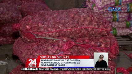 Smuggled na sibuyas, nakitaan ng e. coli kaya 'di na ibebenta; ibabaon na lang sa lupa ng DA | 24 Oras