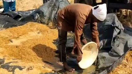 కాగజ్‌నగర్: 7 మండలాలలో అకాల వర్షం.. తడిసిన వరి ధాన్యం