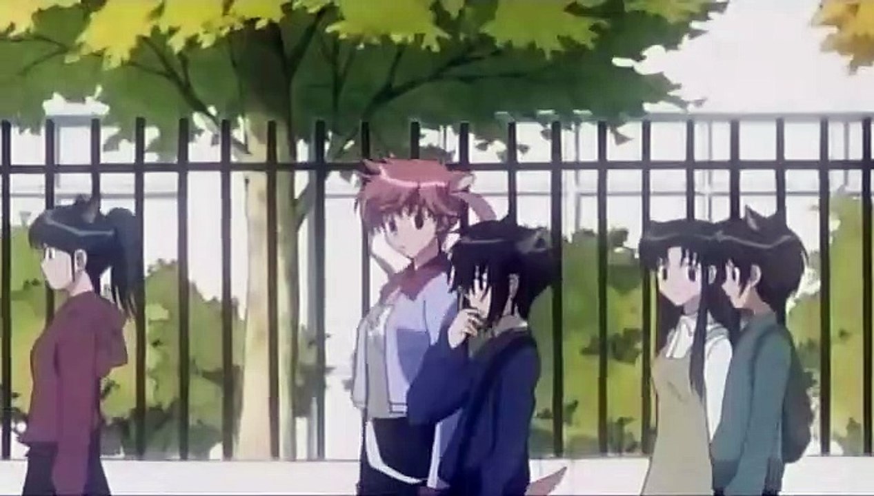 LL 05