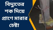 প্রাণে মারতে এ কি লাগালো ব্যক্তি! চাঞ্চল্যকর দৃশ্য