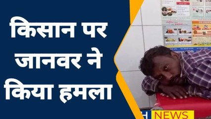 रामपुर: जंगल से निकलकर किसानों के बीच पहुँचा खूंखार सुअर, पलक झपकते ही हुआ ये