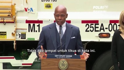 Basmi Hama Tikus, Pemerintah New York Rekrut Direktur Pembasmi Tikus