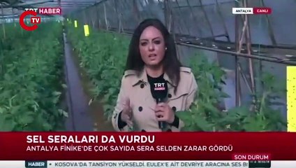 TRT muhabirinin seldeki zor anları
