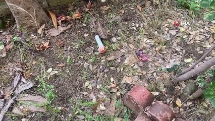 Beşiktaş'ta feci olay: 2 yaşındaki çocuk 5. kattan düşüp öldü