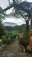 Discover Evo Nature Camp Cebu: Adventure & Comfort in One 🌿