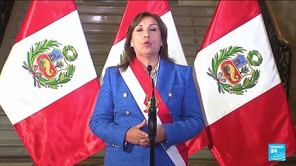 Peru president proposes moving up elections amid protests
