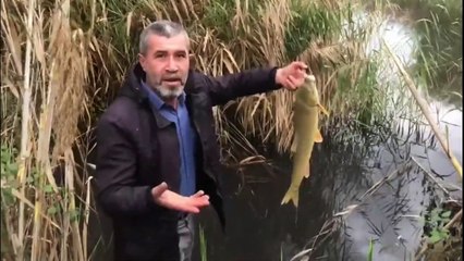 Akçay Nehri'nde balık ölümleri
