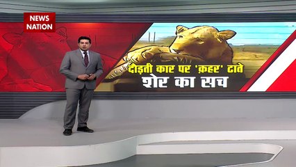 Lie Detector Test : क्या है दौड़ती पर कहर ढाते शेर का सच? | lion wreaking havoc |