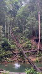 The beauty of Indonesian nature,