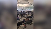 Travel chaos: Passengers forced to sleep in Stansted airport as flights grounded by snow