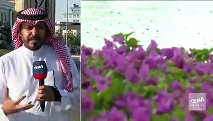 أمطار جدة.. متحدث «الأمانة»: سنكون مضطرين إلى استخدام الصهاريج رغم منظرها المزعج