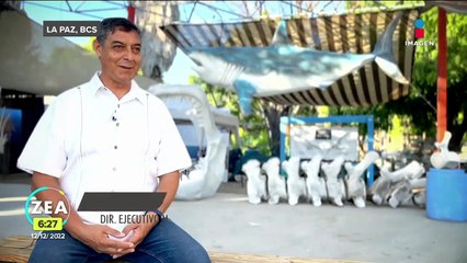 Museo de la Ballena: Espacio para la conservación de las especies marinas
