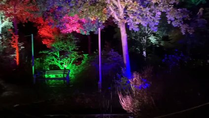 Glow 2022 at RHS Garden Wisley.