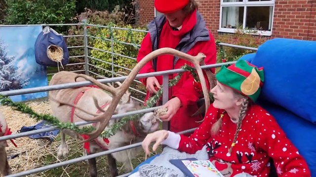Reindeer visit Kettering care home