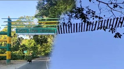 ছোট বন্য প্রাণীদের সুবিধার্থে সেতু তৈরি হয়েছে বক্সা জঙ্গলের রাস্তায় |OneIndia Bengali