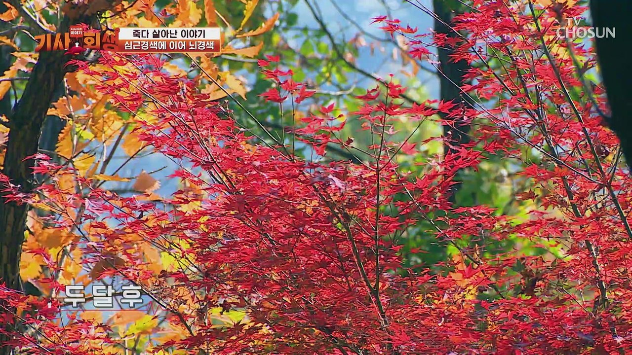 심근경색 수술까지 후 팔 다리를 못쓰게 된 사연 TV CHOSUN 20221212 방송