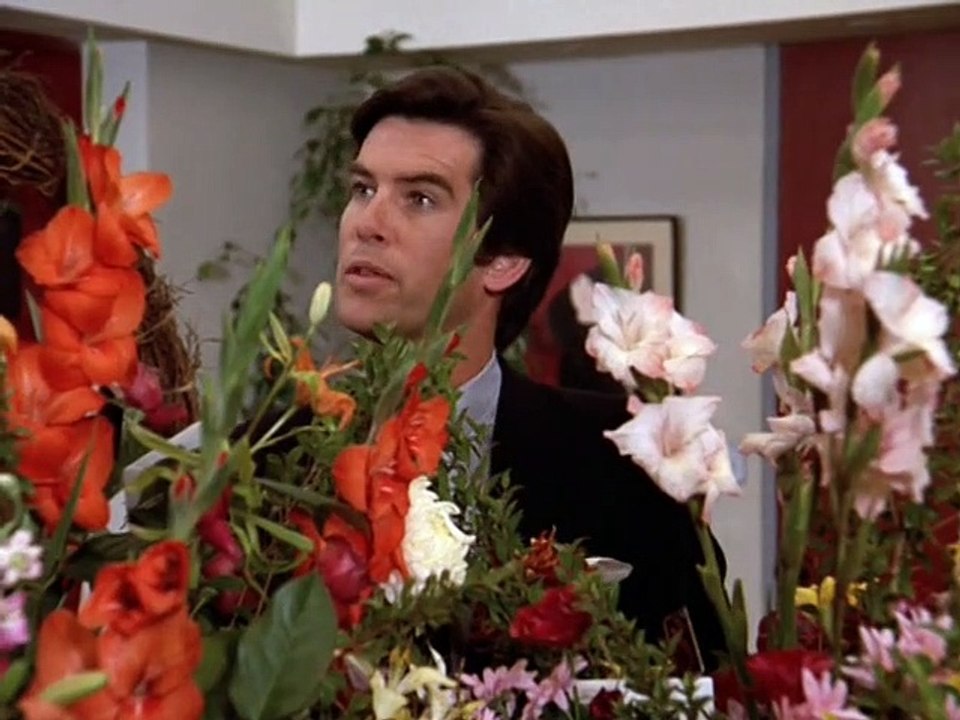 Remington Steele Staffel 2 Folge 22