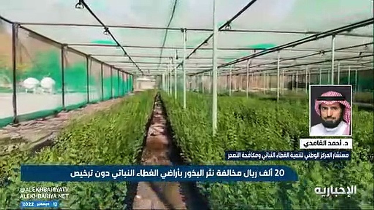 بالفيديو.. مسؤول: النثر العشوائي للبذور يؤدي إلى خلط وراثي