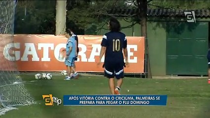 Após a vitória sobre o Criciúma, Palmeiras treina para pegar o Fluminense