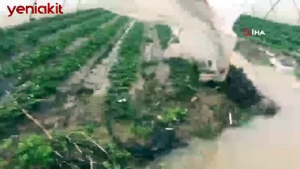 Antalya'da şiddetli yağış! Çilek seraları sular altında kaldı