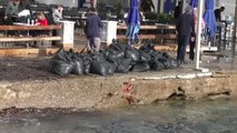 Bodrum'da rüzgar nedeniyle sahile sürüklenen yosunlar temizlendi