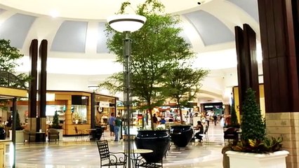 Chris Chan A Comprehensive History - Part 43