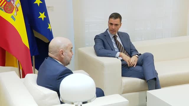 Sánchez se compromete con el CERMI a impulsar la agilización de la tramitación parlamentaria de la reforma del artículo 49 de la Constitución